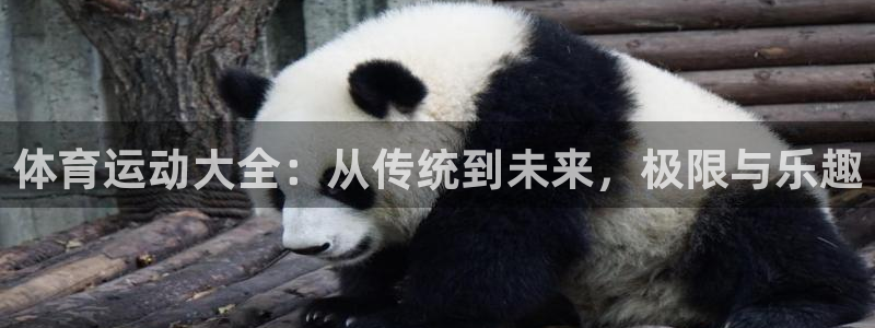 vsport体育官网下载娱乐:体育运动大全:从传统到未来,极