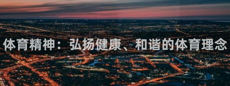 vsport体育官方正版app娱乐下载:体育精神:弘扬健康、